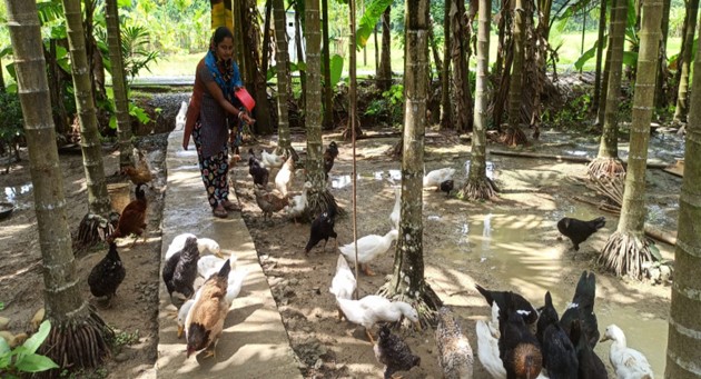 Skill Development Training of SHG